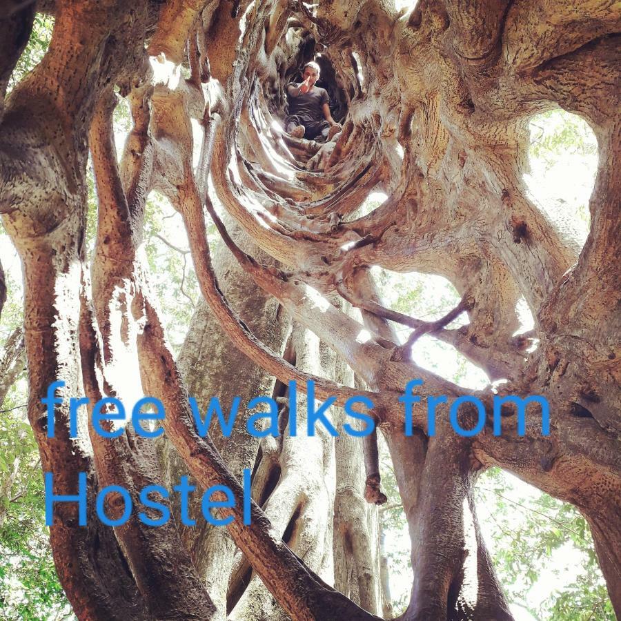 מונטה ורדה Hostel California מראה חיצוני תמונה